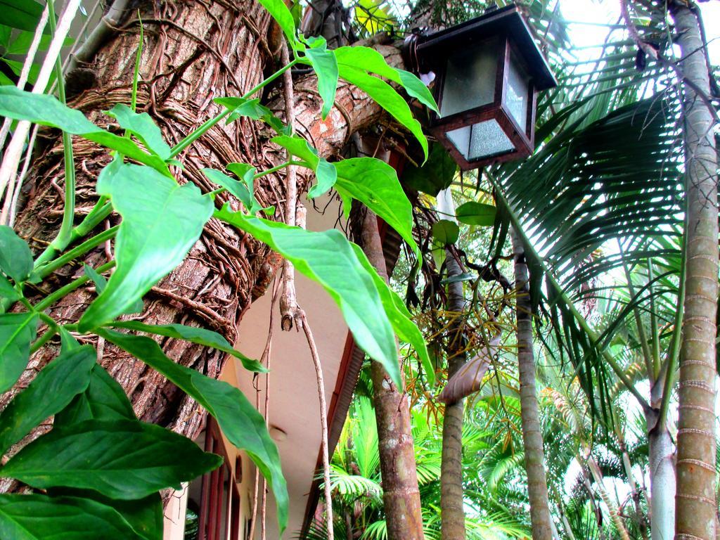 Happiness Resort Ban Khlong Haeng Εξωτερικό φωτογραφία